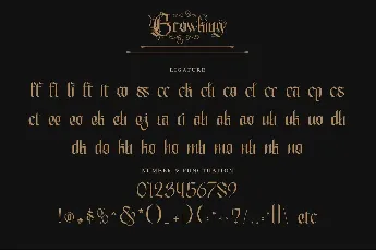 Browking - Personal use font