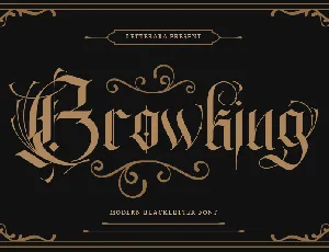 Browking - Personal use font