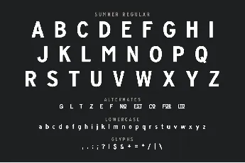 Sumner Typeface font