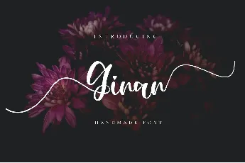 Ginan font