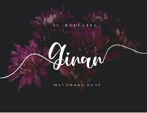 Ginan font