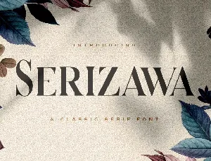 Serizawa font