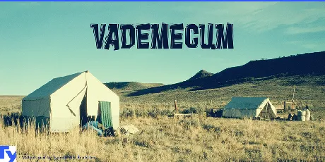 Vademecum font