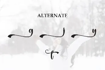 Perfectly Winter Script font