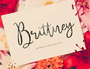 Brittney Script font