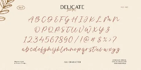 Delmon Delicate font