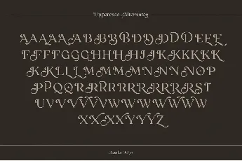 Reigo font