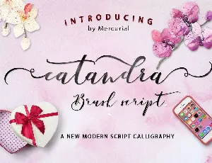 Catandra Brush Script font