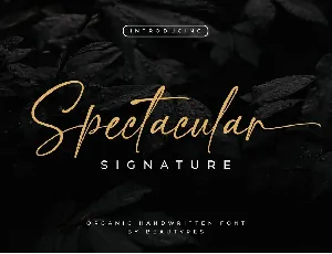 Spectacular font