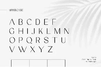 Nalieta font