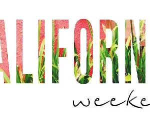 California Family font