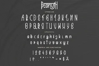 Peanuth Demo font