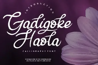 Gadigoke Handwritten font