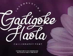 Gadigoke Handwritten font