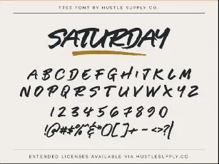 Saturday Brush font