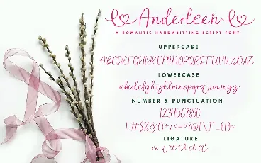 Anderleen Demo font