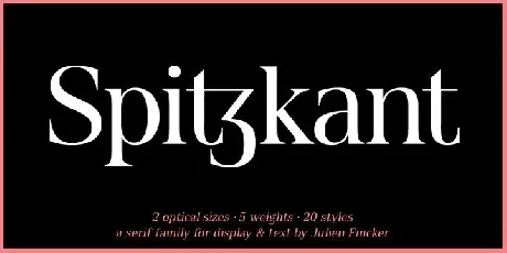 Spitzkant Serif font