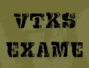 VTKS EXAME font