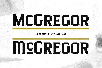 Pittsbrook Serif Typeface font