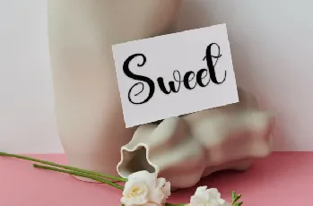 Bridal Script font