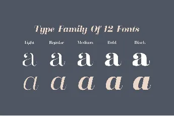 Clarize Family font