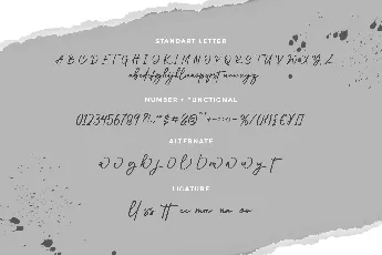 Authorsign font