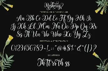 Rasberry font