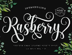 Rasberry font