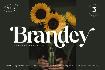 Brandey font