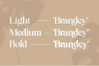 Brandey font