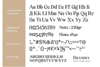 Brandey font