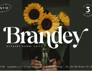 Brandey font