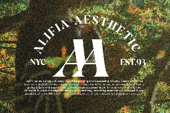 Aesthetic Moment font