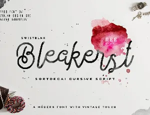 Bleakerst Script Free font