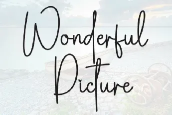 Wonderful Picture font