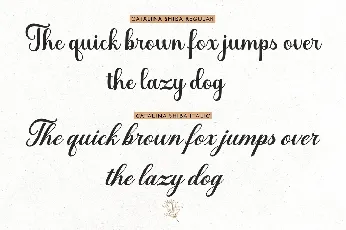 Catalina Shiba font