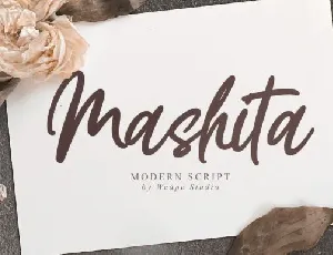 Mashita Script font