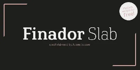 Finador Slab Family font