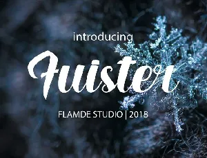 Fuister Script font