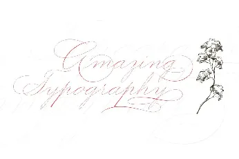 Graceful font