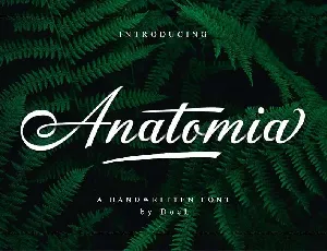 Anatomia Script Free font