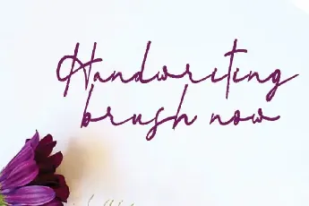 Vadimbrush Brush font