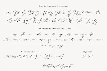 Handita Calligraphy font