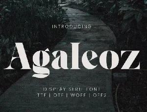 Agaleoz Serif font