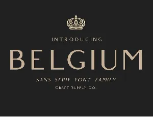 Belgium Family font