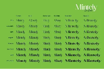 Mintely font