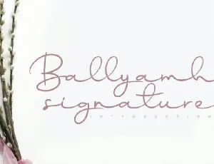 Ballyamh Handwritten font