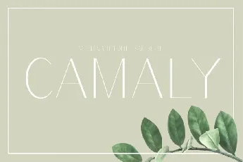 Camaly Sans Serif font