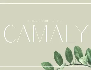 Camaly Sans Serif font