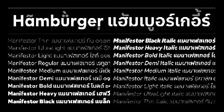 Manifestor font